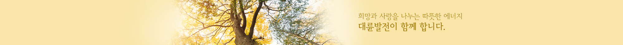 지역 냉/난방을 대륜발전이 함께 합니다.